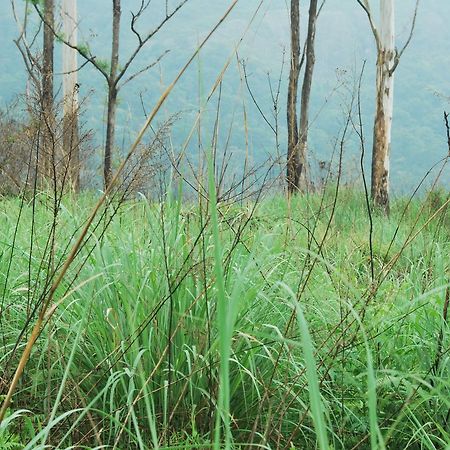 T Cherry Villa Munnar Dış mekan fotoğraf