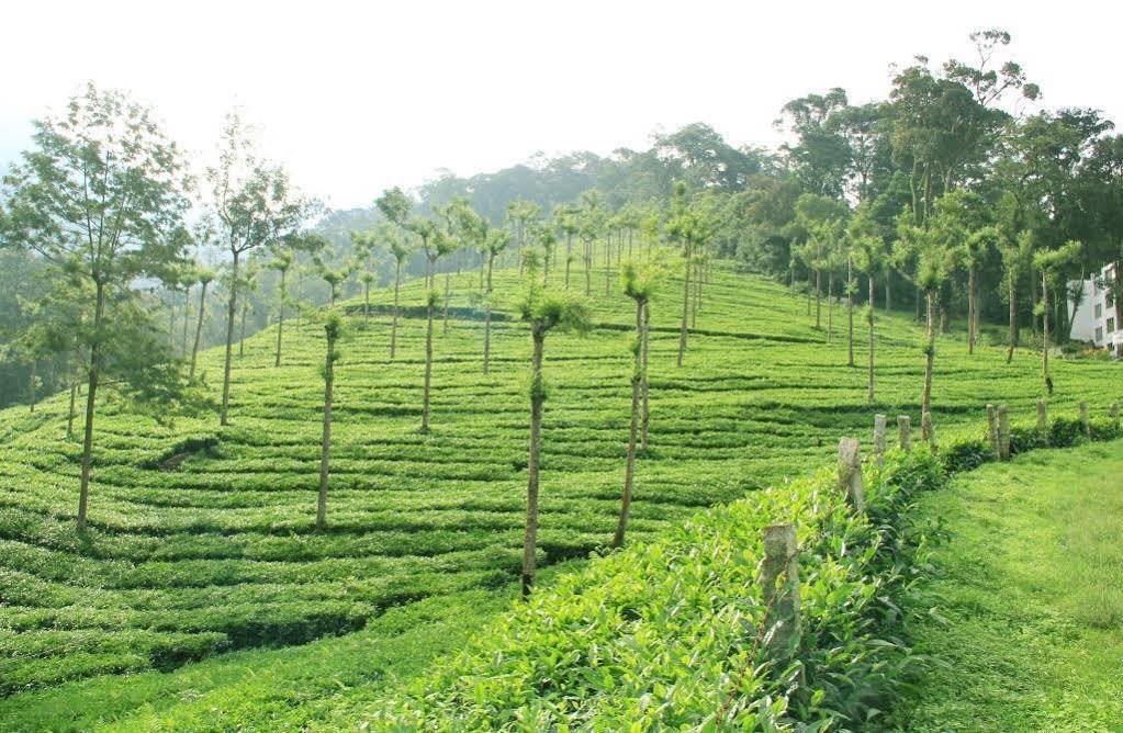 T Cherry Villa Munnar Dış mekan fotoğraf